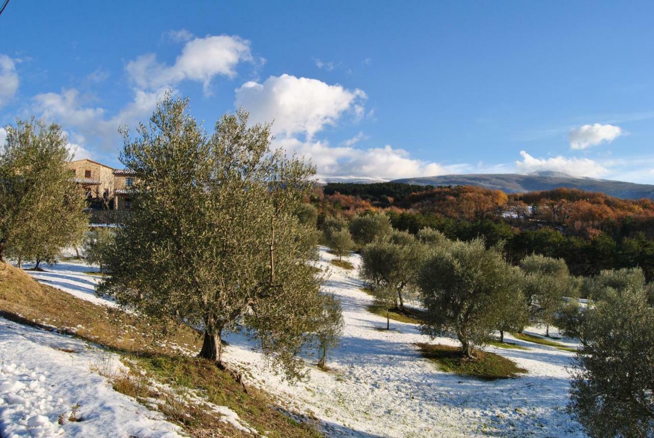 فيلا Casa Fioranna Seggiano المظهر الخارجي الصورة